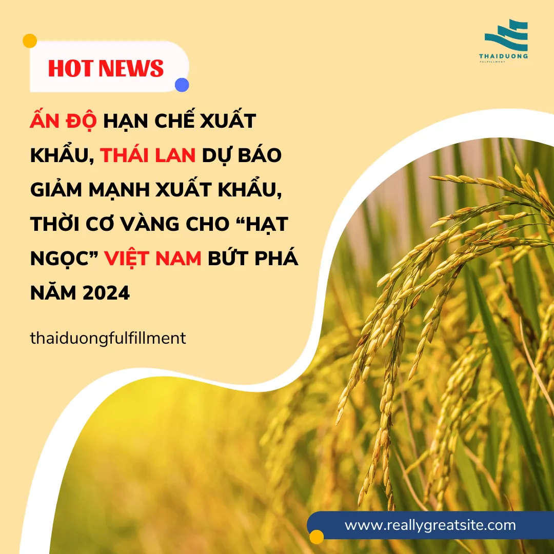 Ấn Độ hạn chế xuất khẩu, Thái Lan dự báo giảm mạnh xuất khẩu, thời cơ vàng cho “hạt ngọc” Việt Nam bứt phá năm 2024